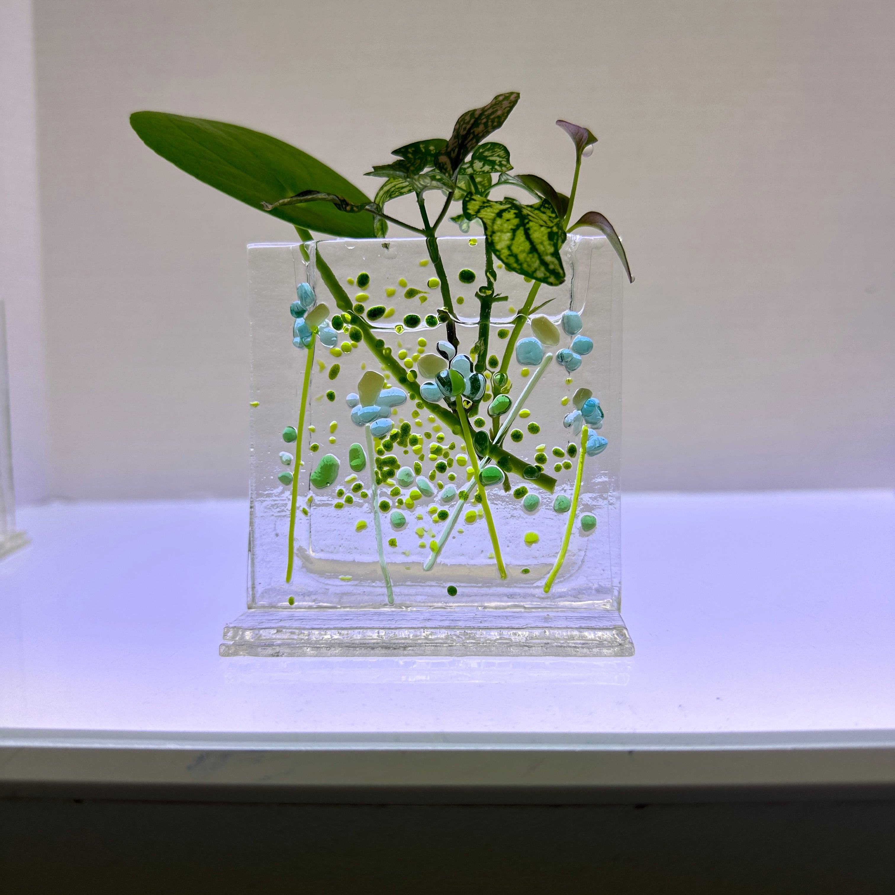 Square 3.5 Pocket Vase