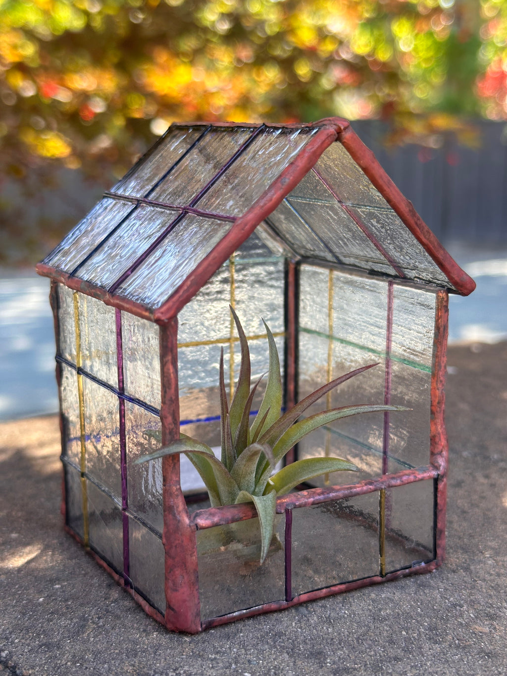 Botanical Bungalow