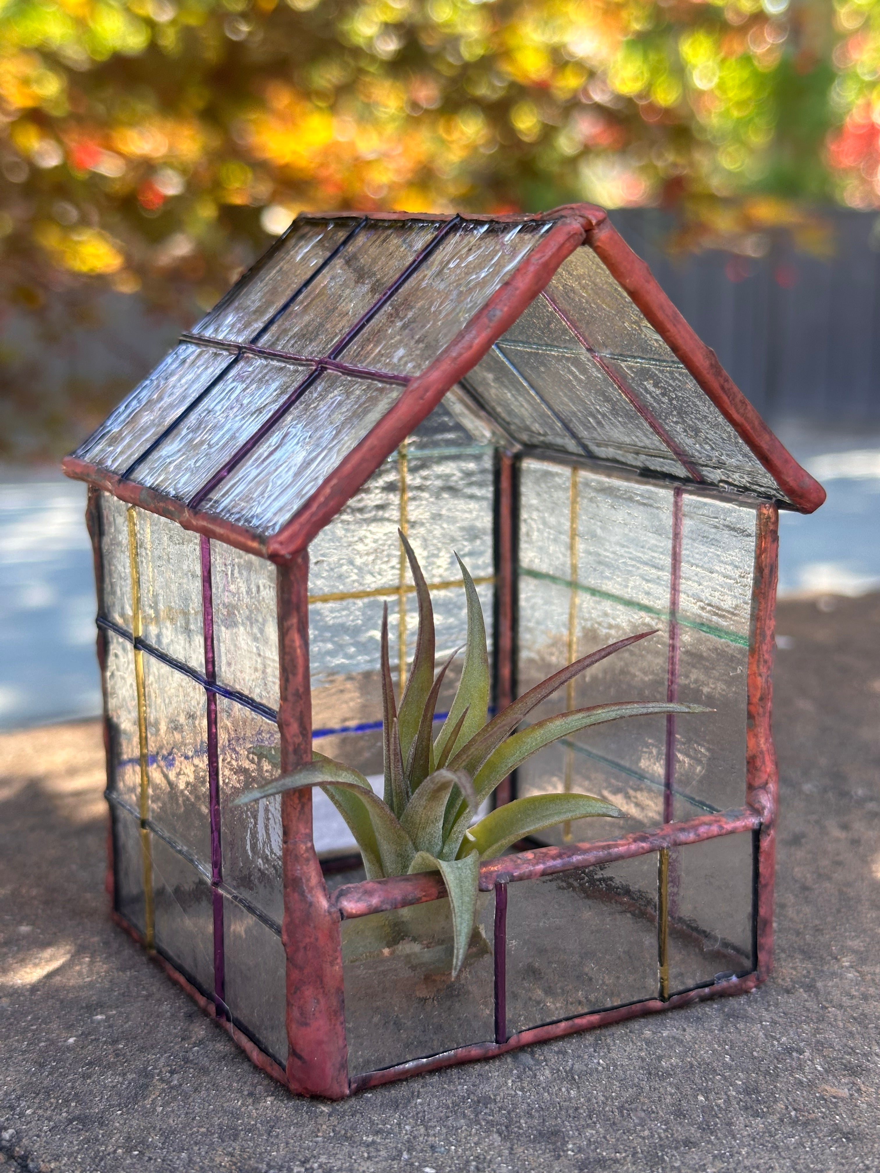 Botanical Bungalow - AARD