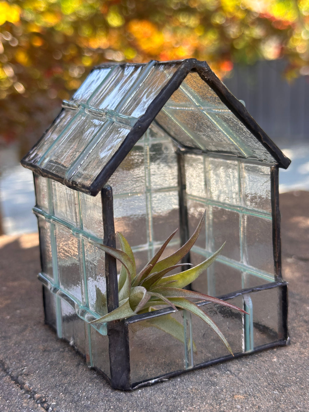 Botanical Bungalow