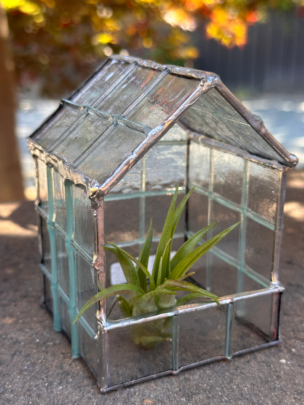 Botanical Bungalow