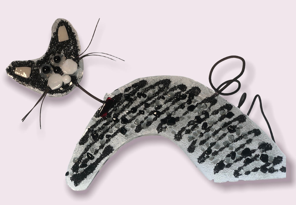Kitty Kitty - AARD