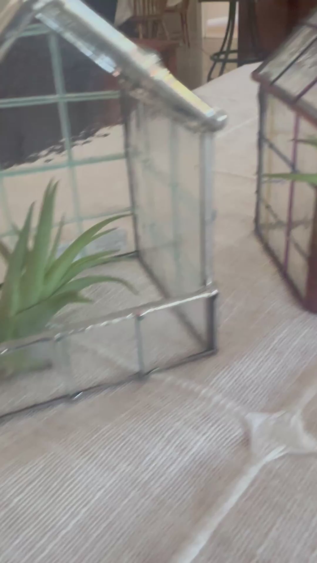 Botanical Bungalow