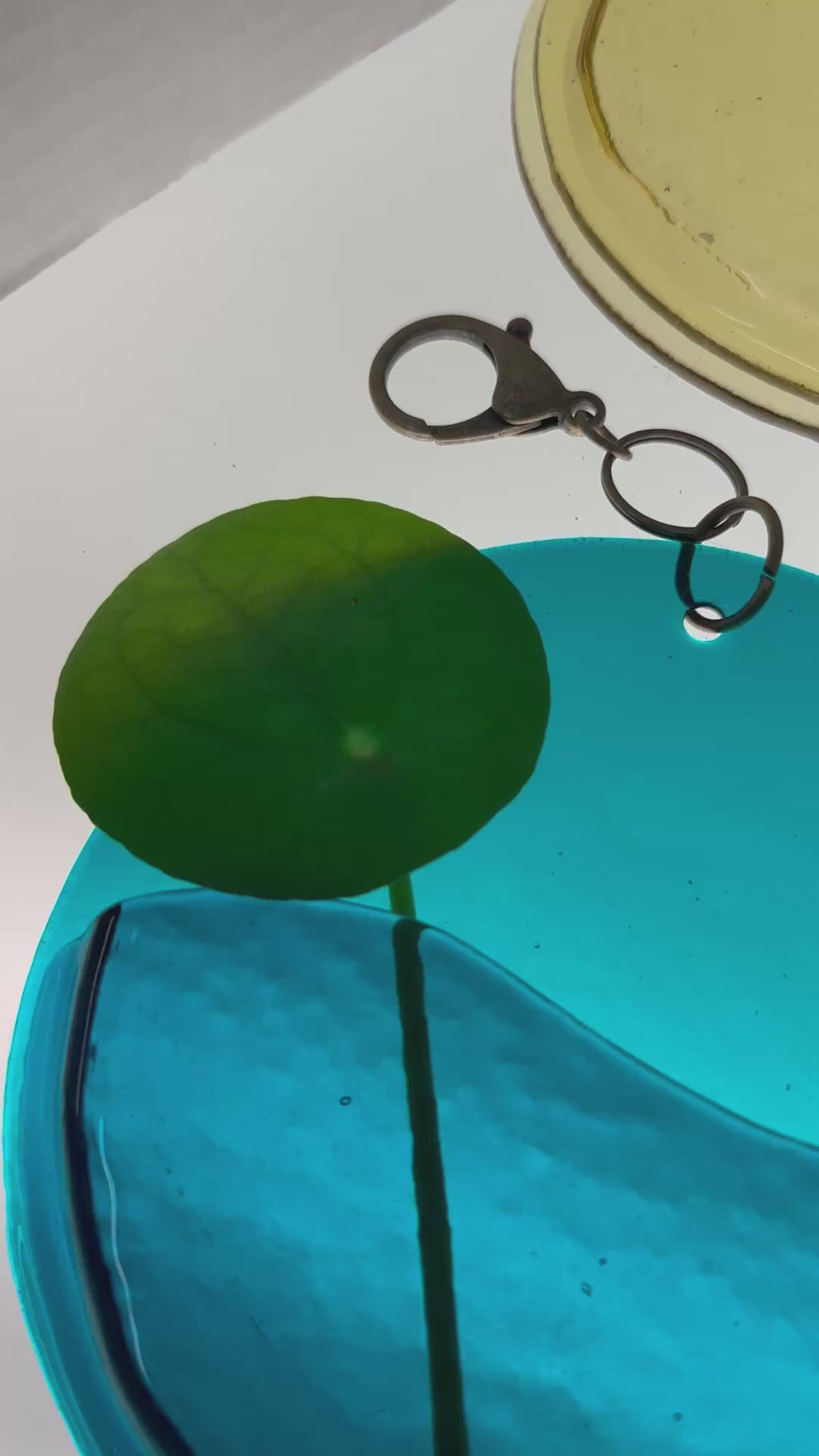 NurtureWave Propagation Vessel